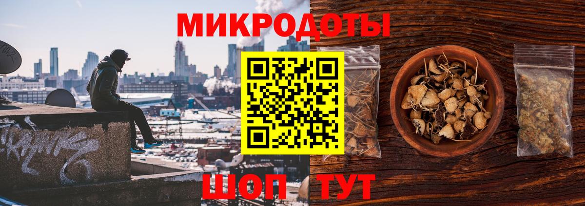 Галлюциногенные грибы Psilocybine cubensis  Вход с VPN  Новошахтинск 